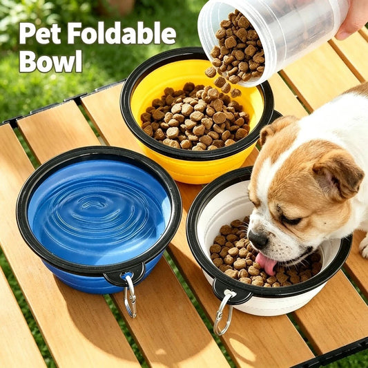 My Furrball 2-in-1 Folding Travel Bowl