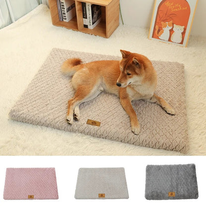 My Furrball 3D Foam Orthopedic Pet Bed
