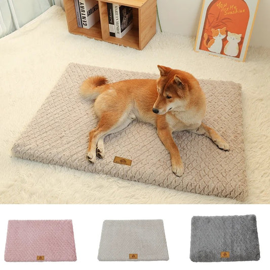 My Furrball 3D Foam Orthopedic Pet Bed