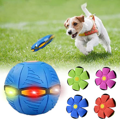 My Furrball Dog Frisbee