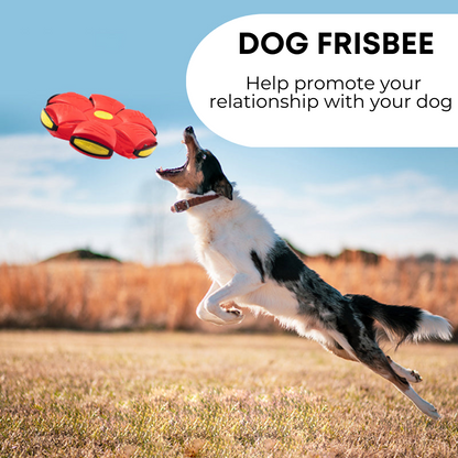 My Furrball Dog Frisbee