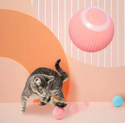 My Furrball Interactive Cat Ball