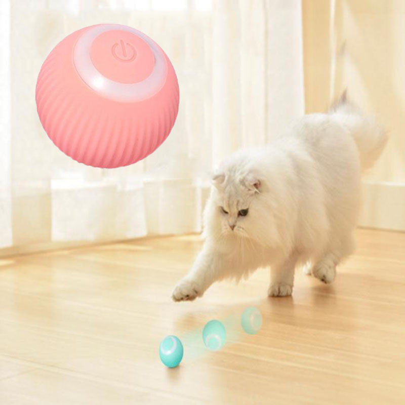 My Furrball Interactive Cat Ball