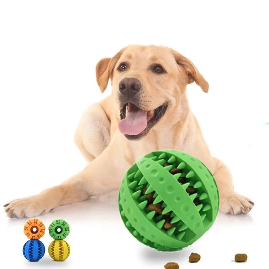 My Furrball Treat-Dispensing Chew Ball