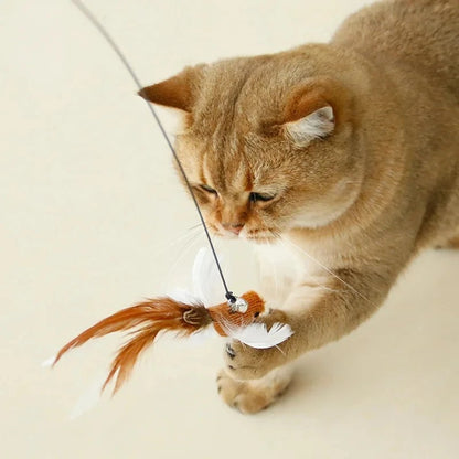 My Furrball Cat Teaser Wand with Suction Cup